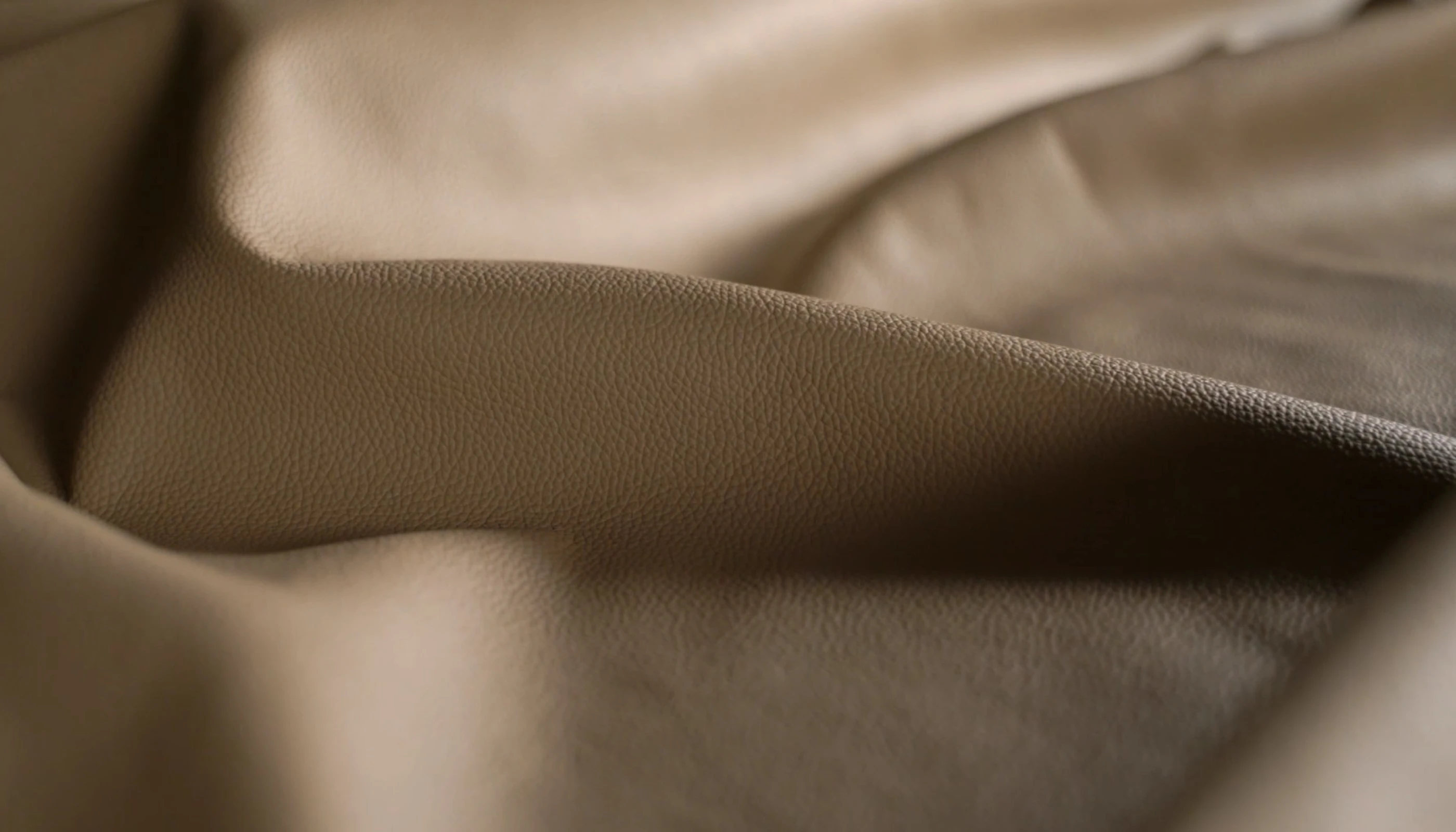 ピネッティの歴史