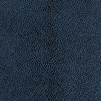 シャンパンバケットS / 1366 | pinetti（ピネッティ）